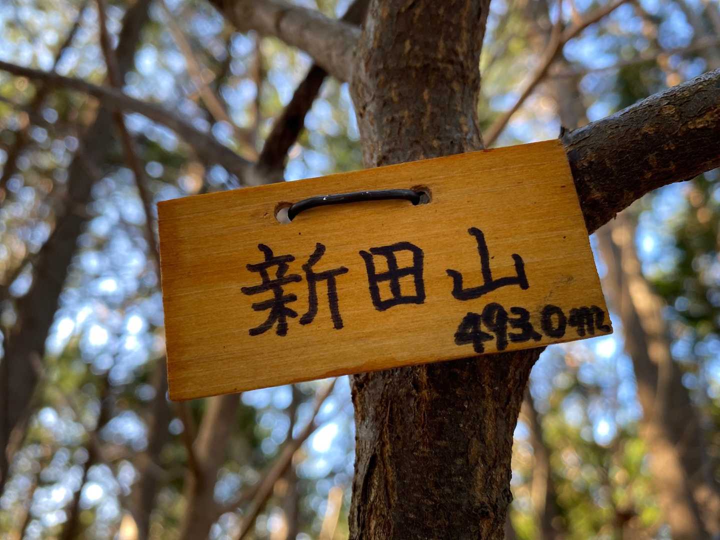 新田山到着
海さんプレート✨