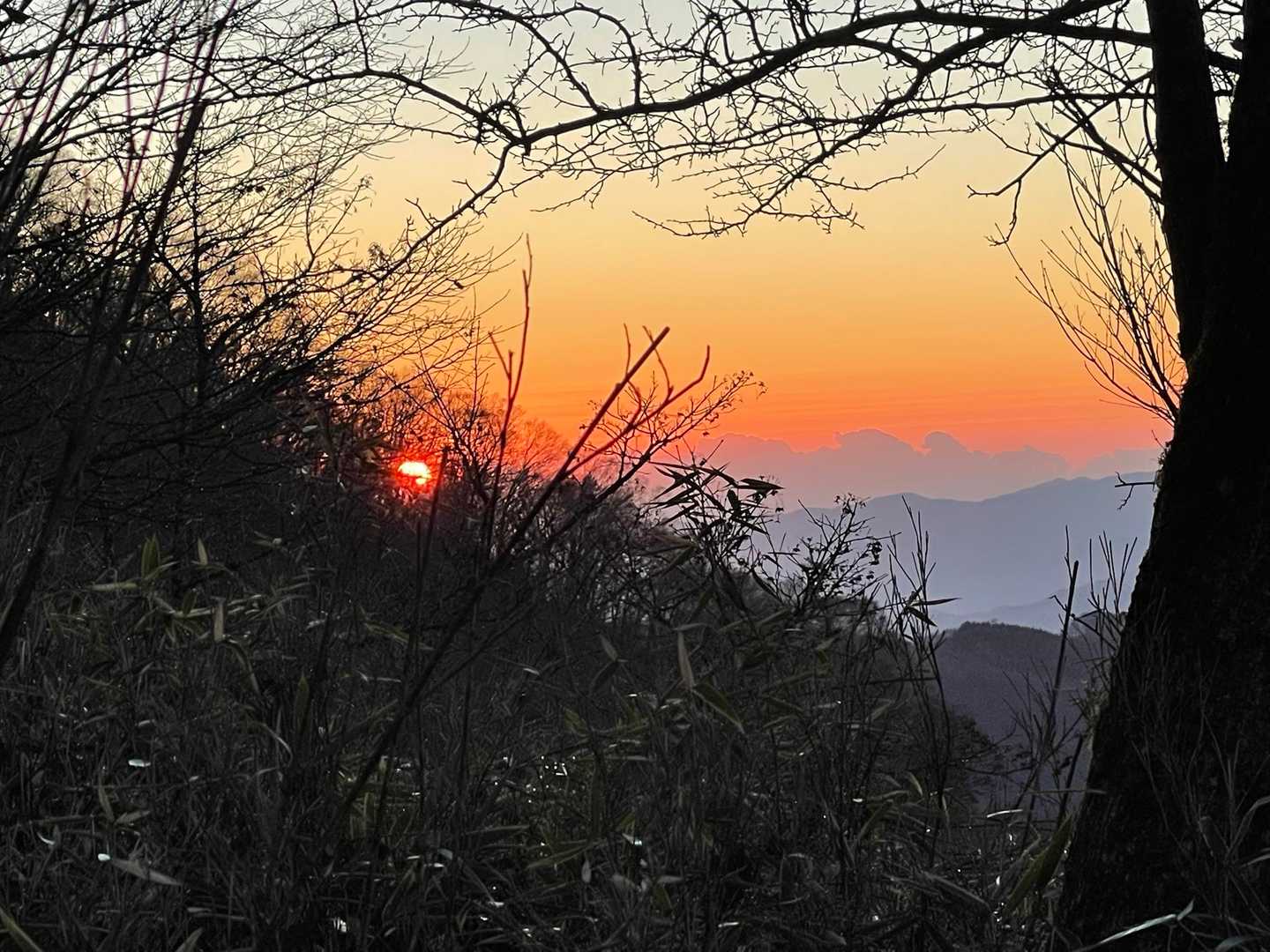 湯の沢峠から登り始めて5分ほどで日の出