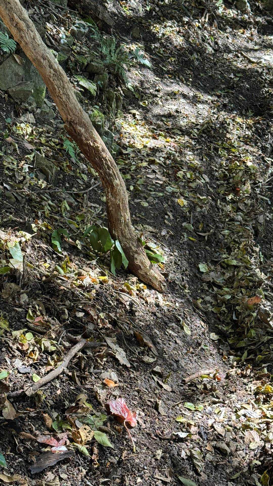 危険⚠️箇所