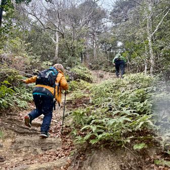 雪☃️❄️が〜
今年登山中の初雪🥳

すごい勢いで走ってきたランナーさんに2回会いました😳2往復してこの後ロード走るみたいに言ってましたが、またフルマラソンかな👏✨
写真撮ったら良かったな😂
