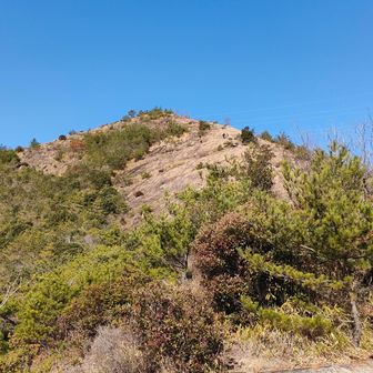 展望台から百間岩を見る