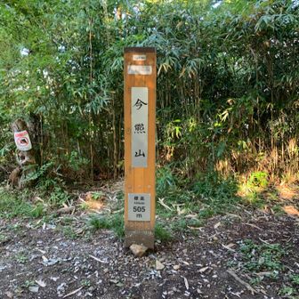 今熊山⛰️
春のハセツネ30Kでは登りましたが、今回のハセツネCUPでは登りません。
今回はピークハントで寄り道しました。