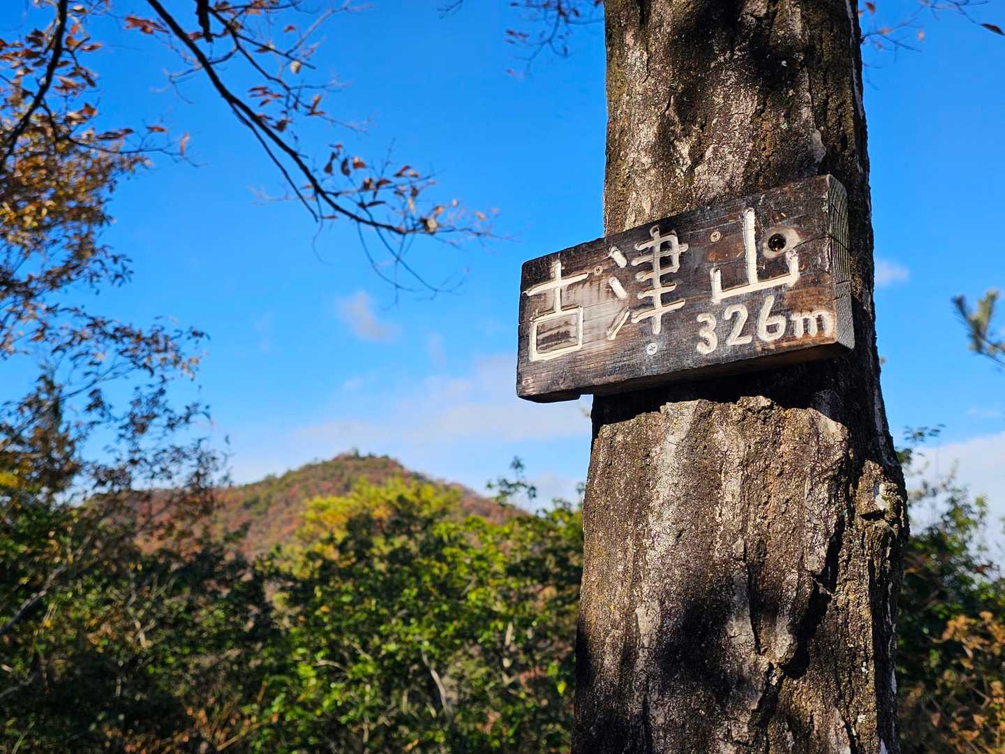 本日のミッション😁新しいピーク⛰️古津山に到着🤗
