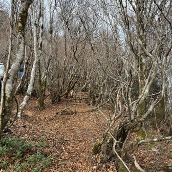 おデブには厳しいすり抜けゾーン😰
小枝との戦い🤣