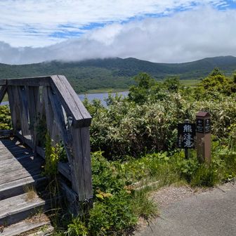 ここから沼へ階段を下りて行きます