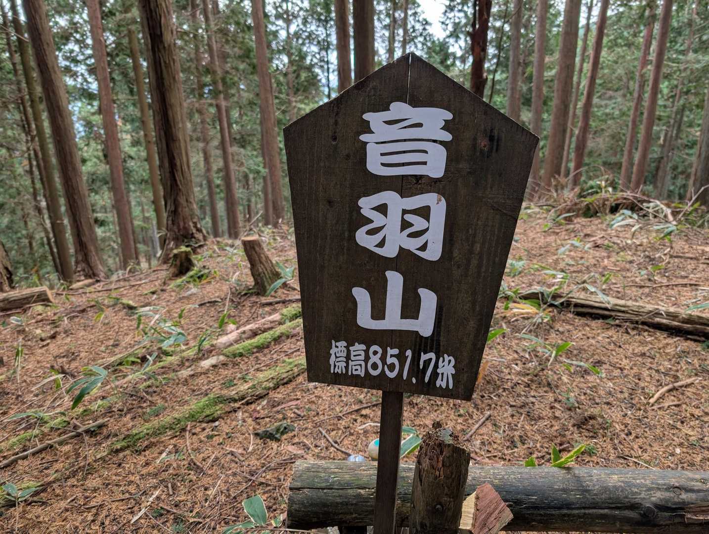 音羽山 往復コースの写真