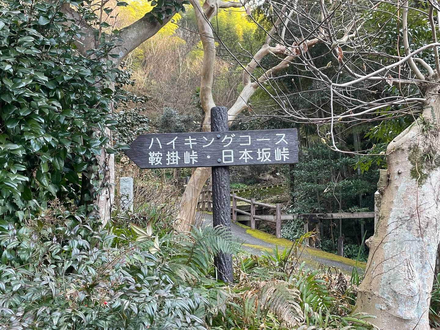鞍掛峠-満観峰-日本坂峠 周回コースの写真