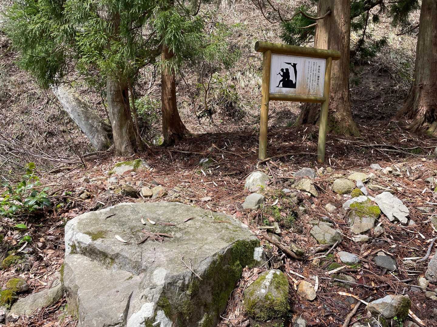 休み石で一休み🪨