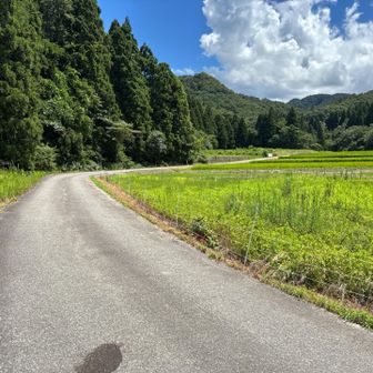 最後は車道歩き😙