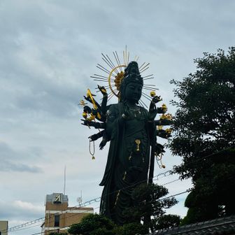 ここがピークらしい☝️

５つ目のピーク
無事に大阪5低山終了〜☑️