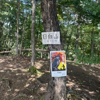 山頂直下の階段がキツいよ