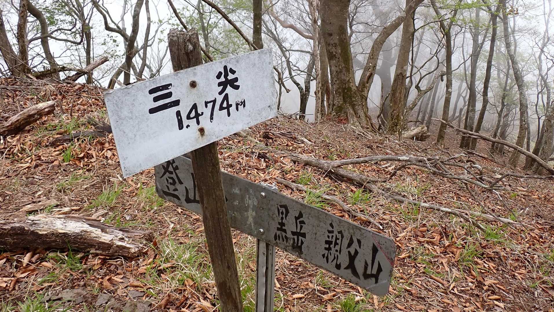 三尖到着
ミット切りじゃなく“みっとぎり”と読むそうです