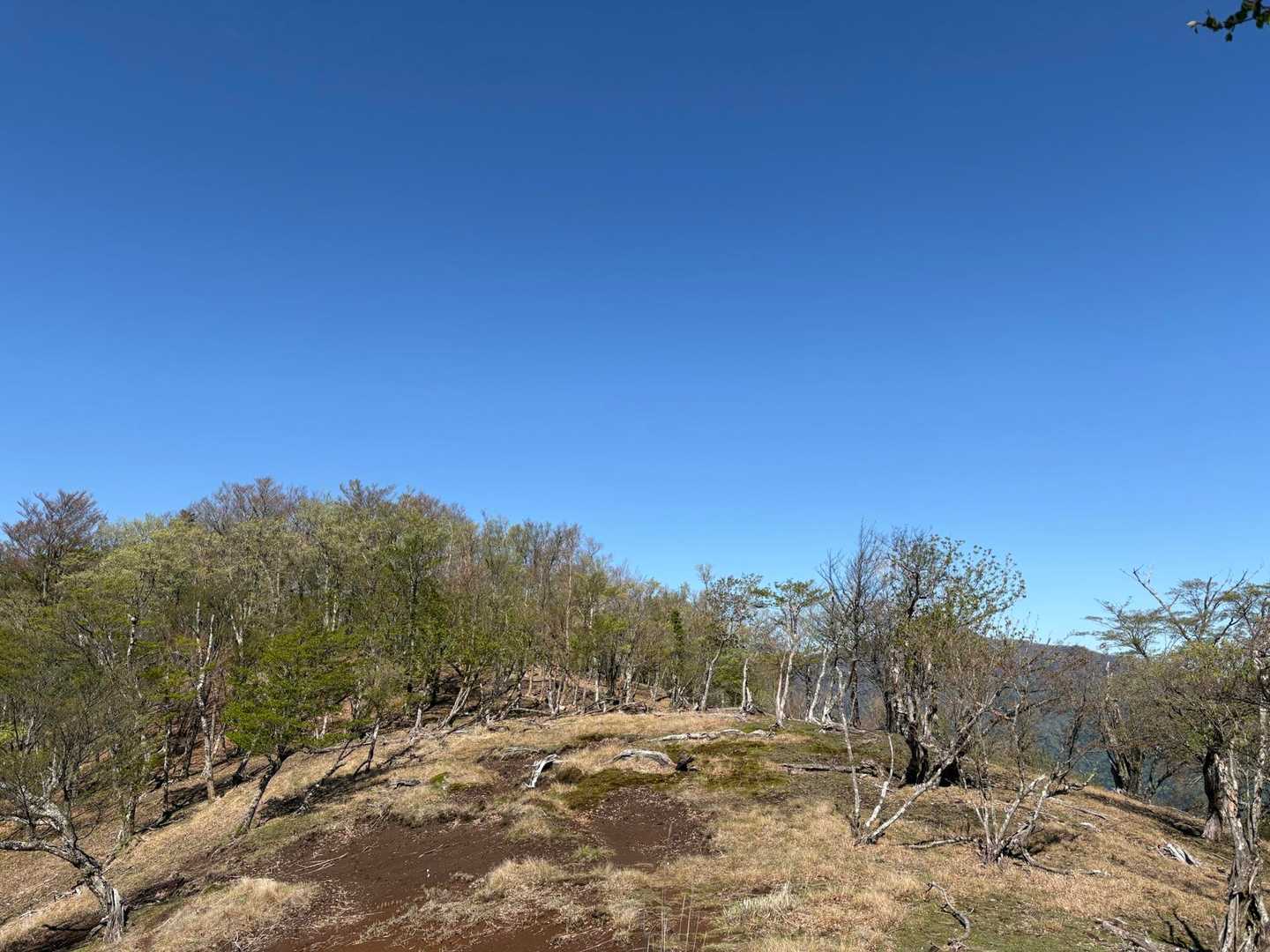 尾平トンネル登山口-丸山-本谷山-笠松山 往復コースの写真