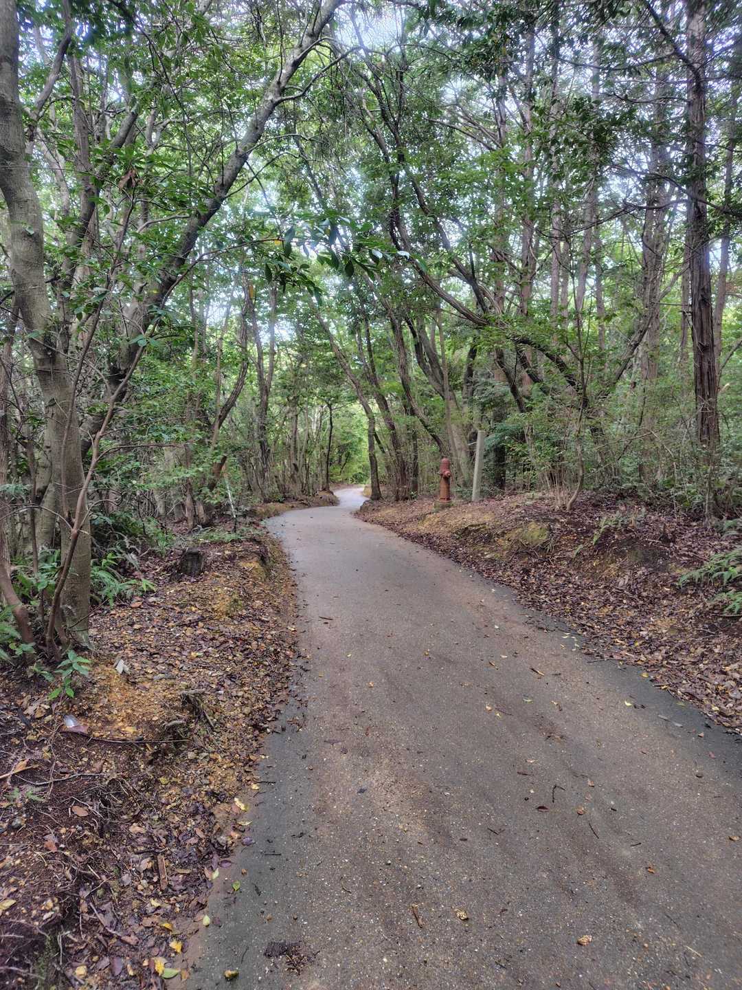 ずっと舗装路でした。