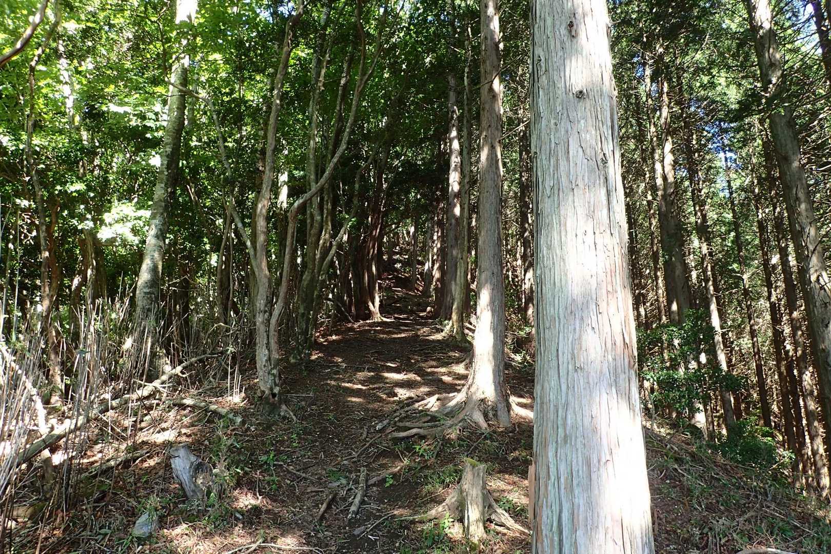 登る