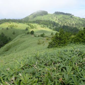 箱岩山山頂方面