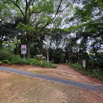 ここから右➡️に下りて枚岡神社へ向かう
