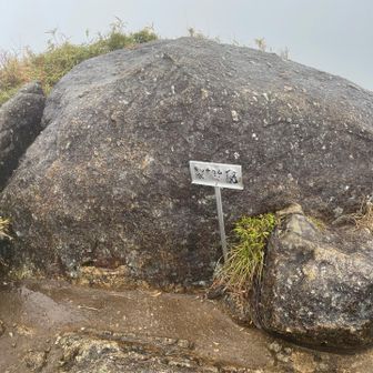 モッチョム岳山頂に到着！
屋久島初めてのお山、達成感たっぷり😊