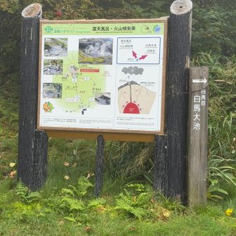 おつかれ山でした！