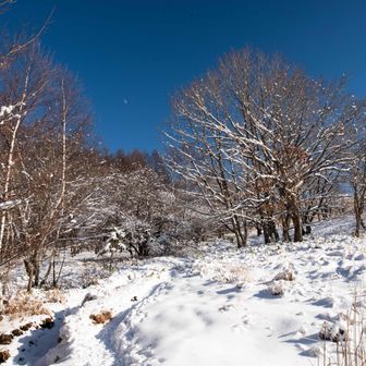 『クヌルプヒュッテ』の付近より、最後の登りの始まり。