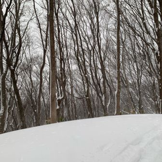 晴れてたら藤野の住宅街が見えるはず