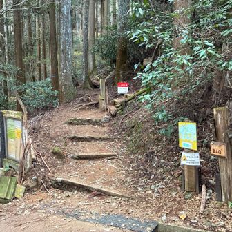 ようやくきゅうざか登山道口に到着。急坂？嫌な予感💦
