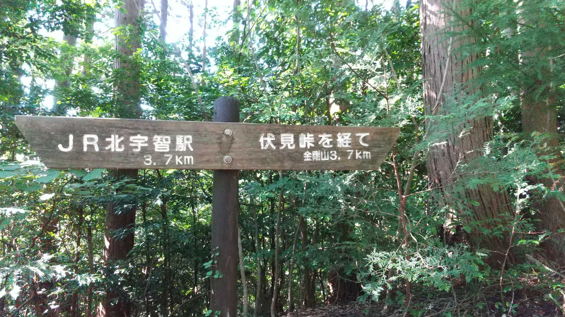 天ヶ滝新道登山口-伏見峠-金剛山葛木神社-金剛山 往復コースの写真