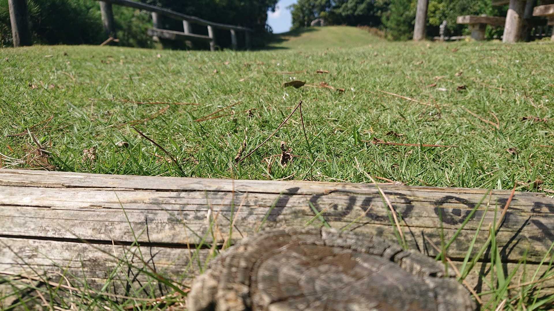 旅伏山 往復コースの写真
