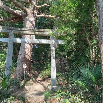 福成山、長かった〜