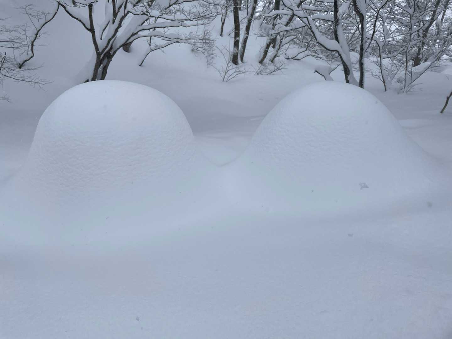 大きな雪見だいふく