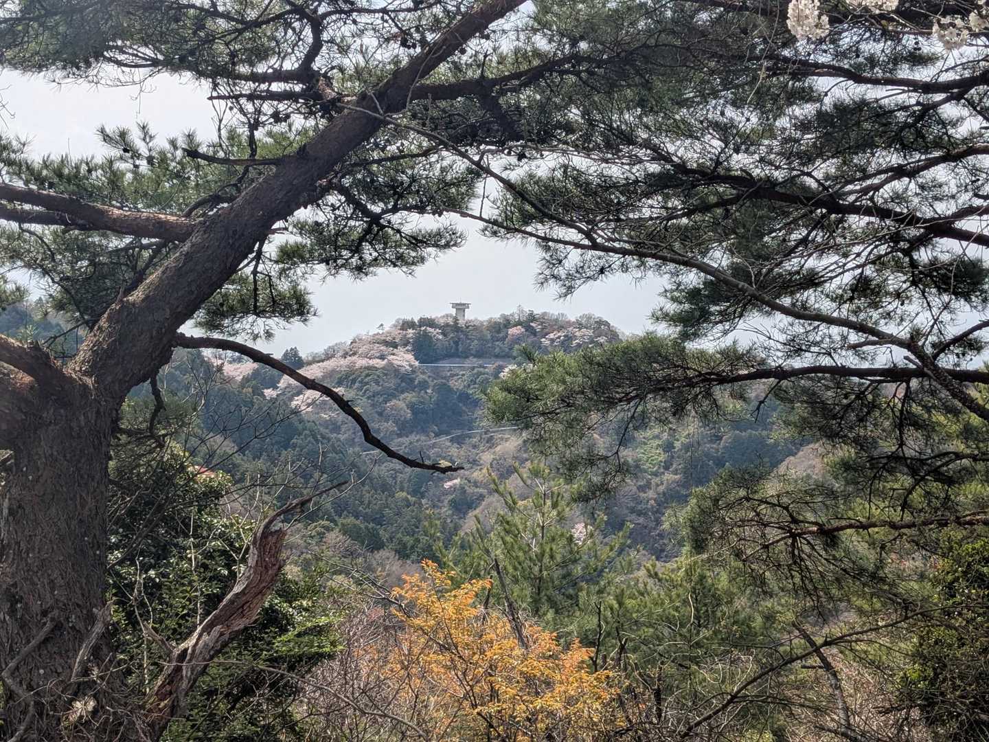 谷上山展望台🙂谷上山のピークはここではないらしい😌