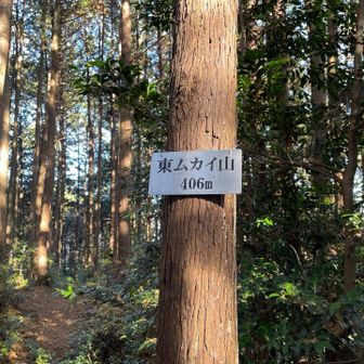 物見山へ戻り東ムカイ山へ着きました