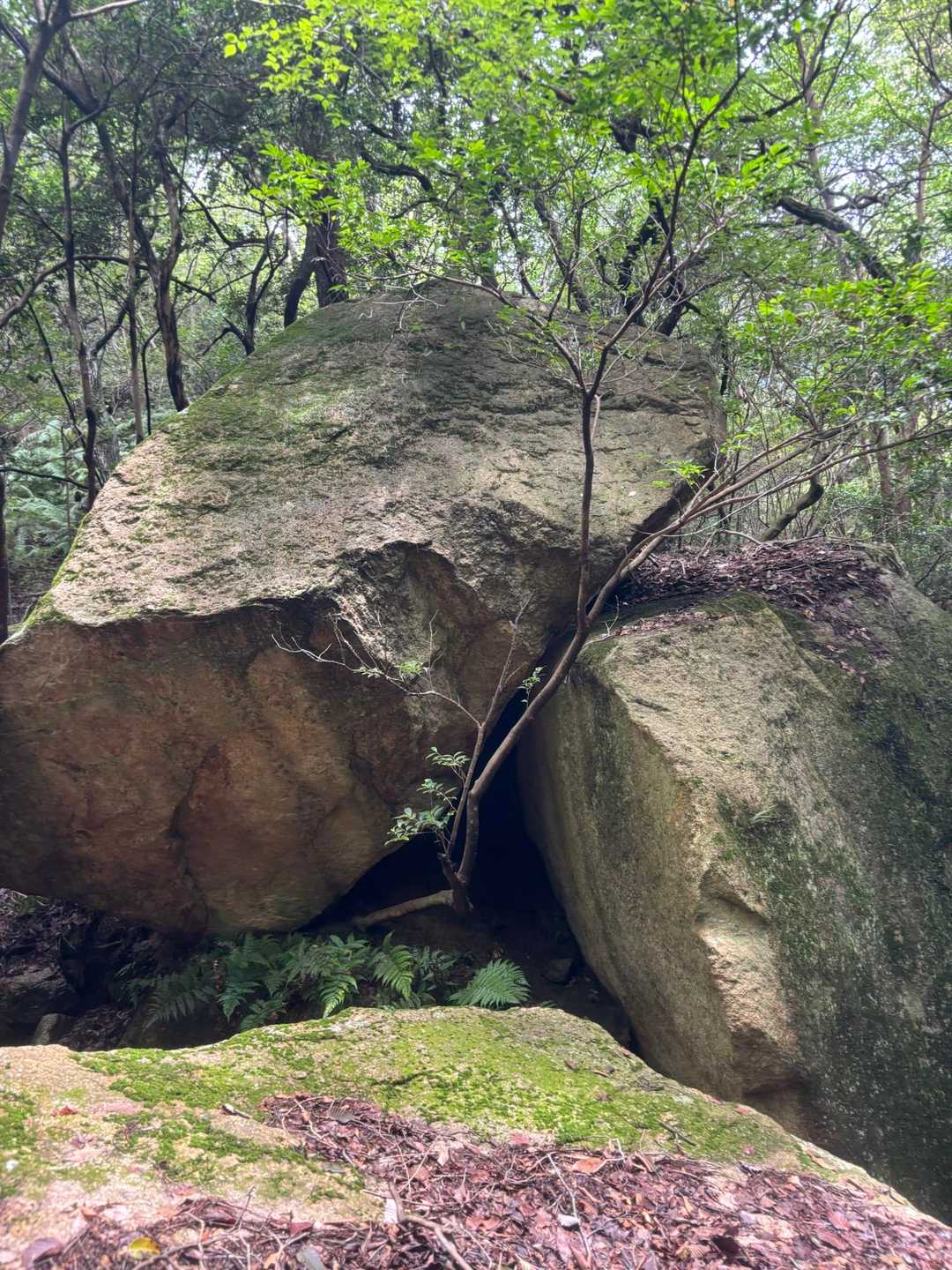 お尻岩🪨の前ですが、ここで休憩😊
