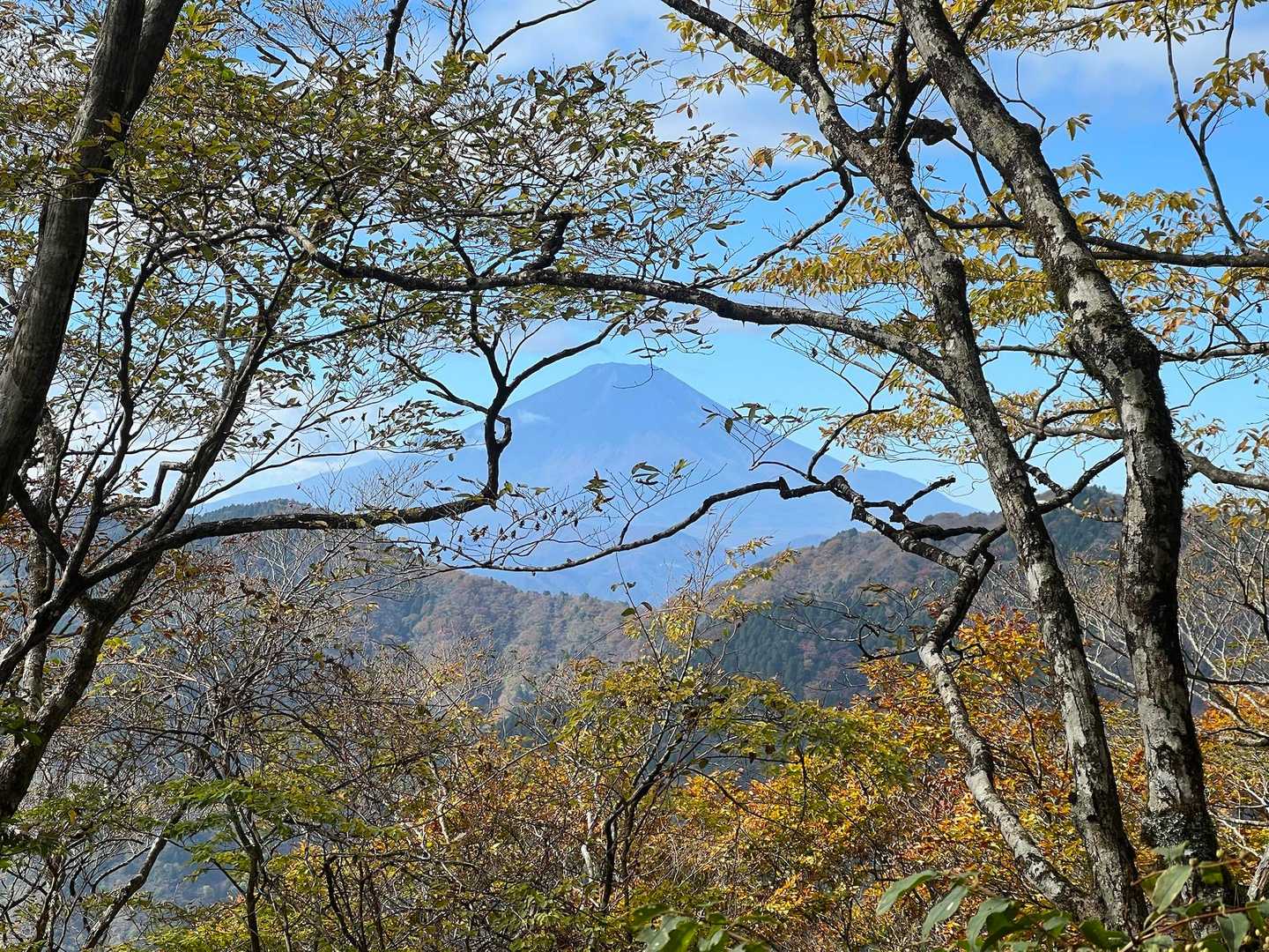 富士山、はっきり見えてきた！
今日はいい日だ〜🎵
