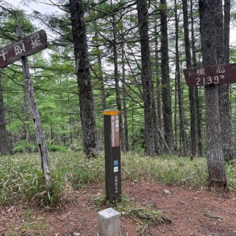 千頭星山の山頂に到着！
山名板、標高標識、三角点