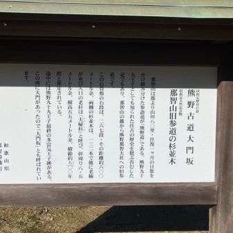 旧参道の杉並木は267段、約600m杉並木の数は132本（全て大木）🙌

迷わずいけよ
行けばわかるさ。。。
ダァ