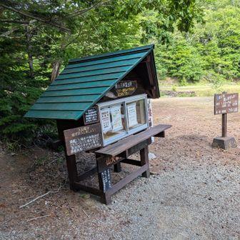 無事に怪我なく、全員で下山出来ました。