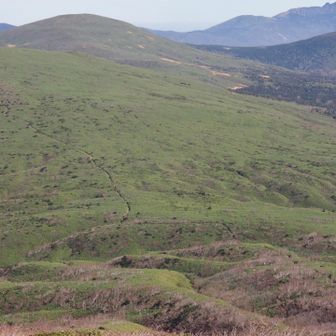 帰り道は左側。
中央にもまた別な登山道🐕