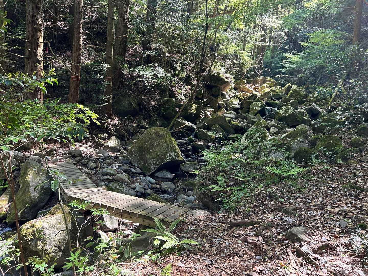 御前岳登山口-御前岳-釈迦岳-釈迦岳-矢部越登山口 縦走コースの写真