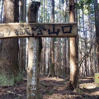 👹鬼ちゃん👹久しぶり🏋️
お邪魔します🤭