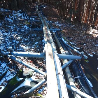 アプローチにはモノレールを利用します