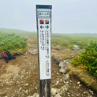 前トム平到着
この辺りからガスが濃くなってきて、道迷いの不安も出てきたのでピンテやロープ、黄色い目印を慎重に確認しながら歩きました