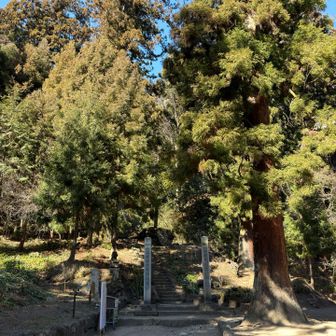 スタートいたします。よろしくお願いいたします。