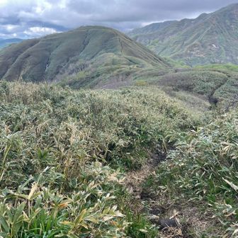 経ヶ岳・法恩寺山 景色いいですね。