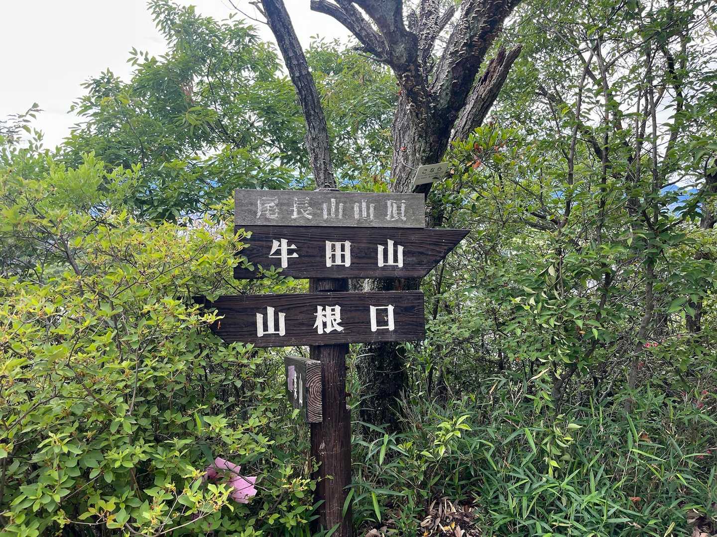 山根口登山口-尾長山-牛田山-神田山 縦走コースの写真