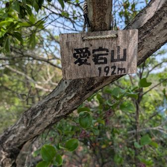 その前に愛宕山