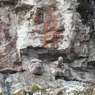 烏天狗と天狗👺