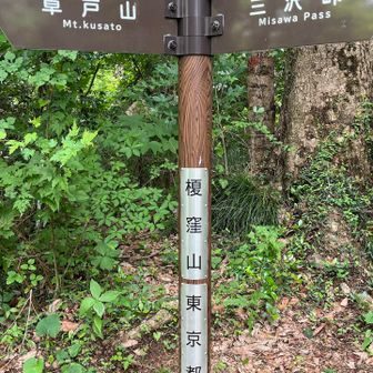 #2 榎窪山