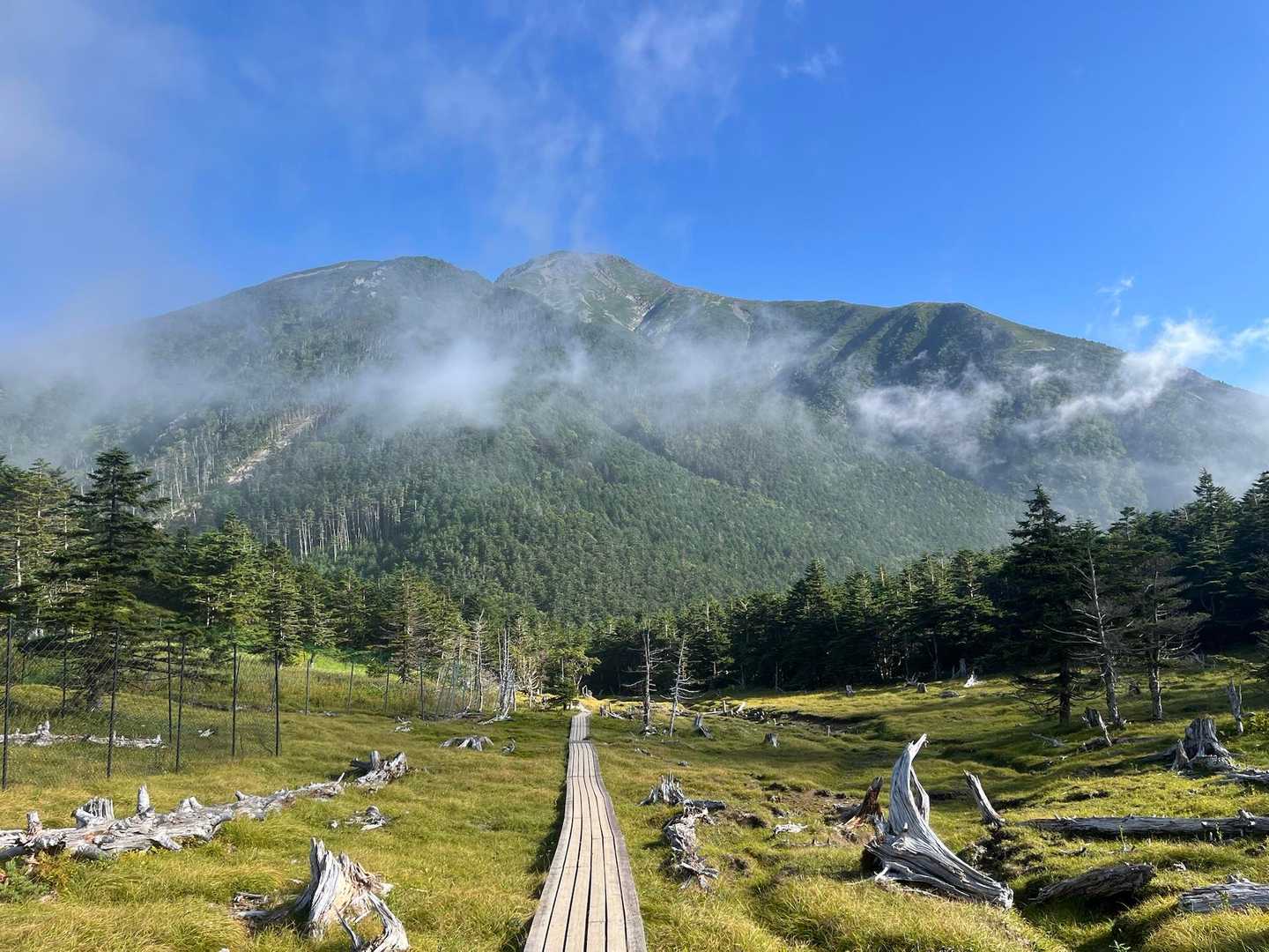 聖岳往復 | 急峻な見た目ながら、手軽に高山植物と360度の大パノラマを楽しめるの写真