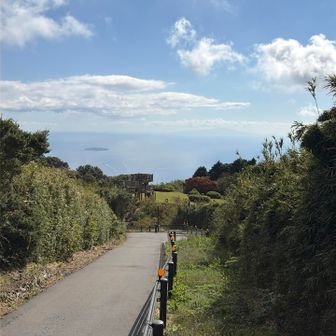 ちょっとの相模湾